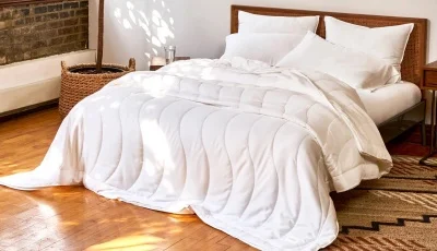 ToastyComfort Comforters: Cozy Warmth All Winter