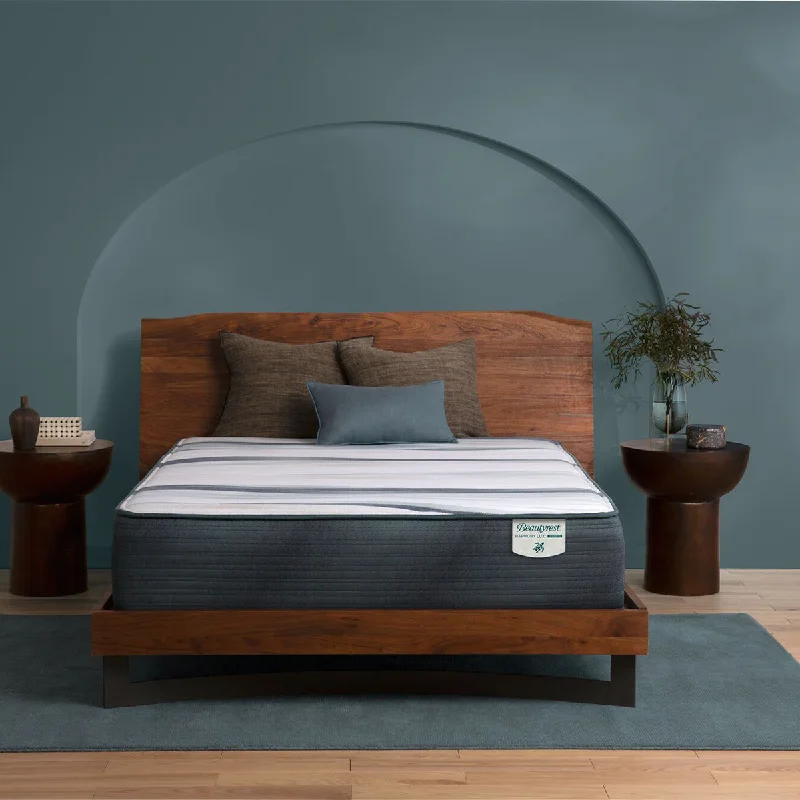 Polyester - foam mattresses for budget - friendly optionsBeautyrest® Harmony Lux™ Hybrid Seabrook Island 14" Plush Mattress