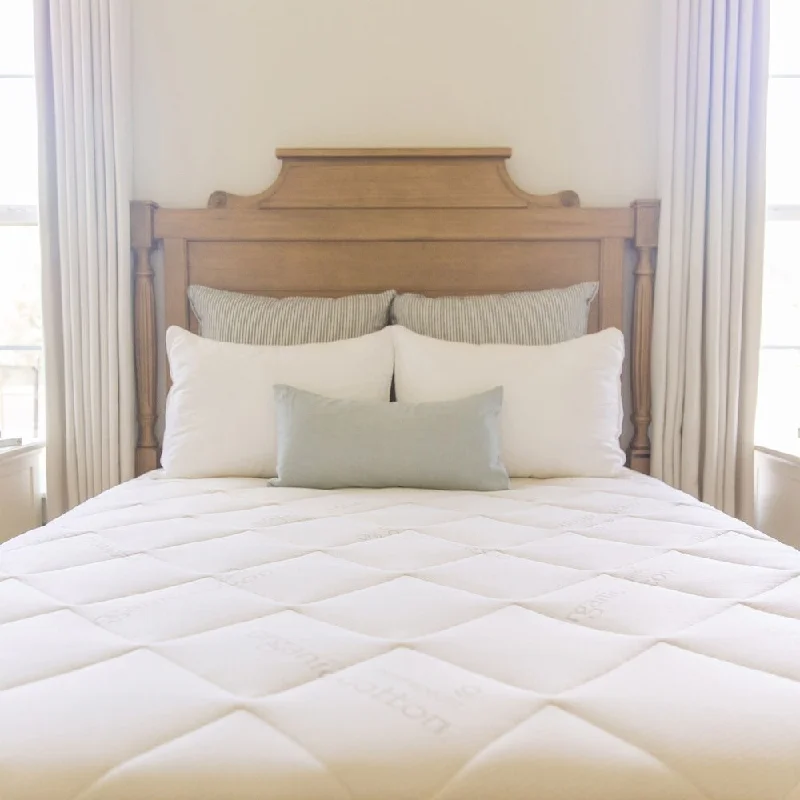 Polyester - foam mattresses for budget - friendly optionsNaturepedic Chorus Organic Mattress